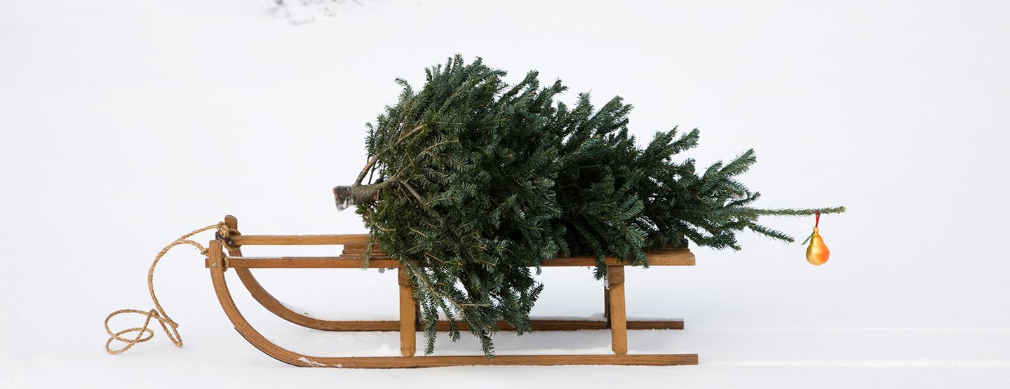 Užijte si šťastné a veselé zero waste Vánoce