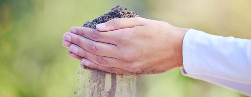 Ubývající zrnka: Jaké důsledky má touha po písku pro životní prostředí?